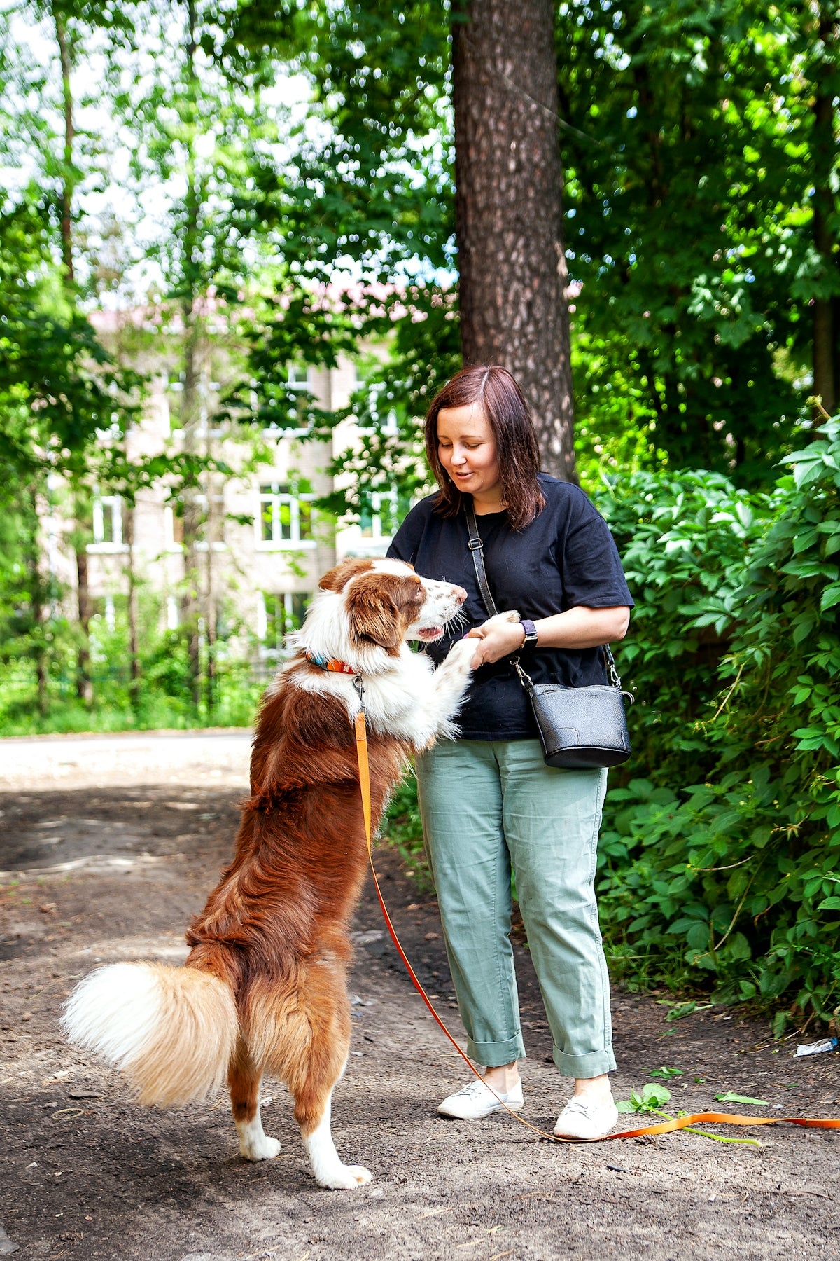 a person holding a dog