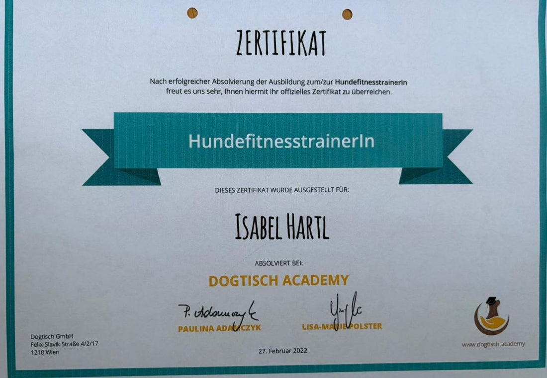 Zertifikate und Bescheinigungen für Hundetraining, Hundefürsorge, Hundesitting und Hundehaltung