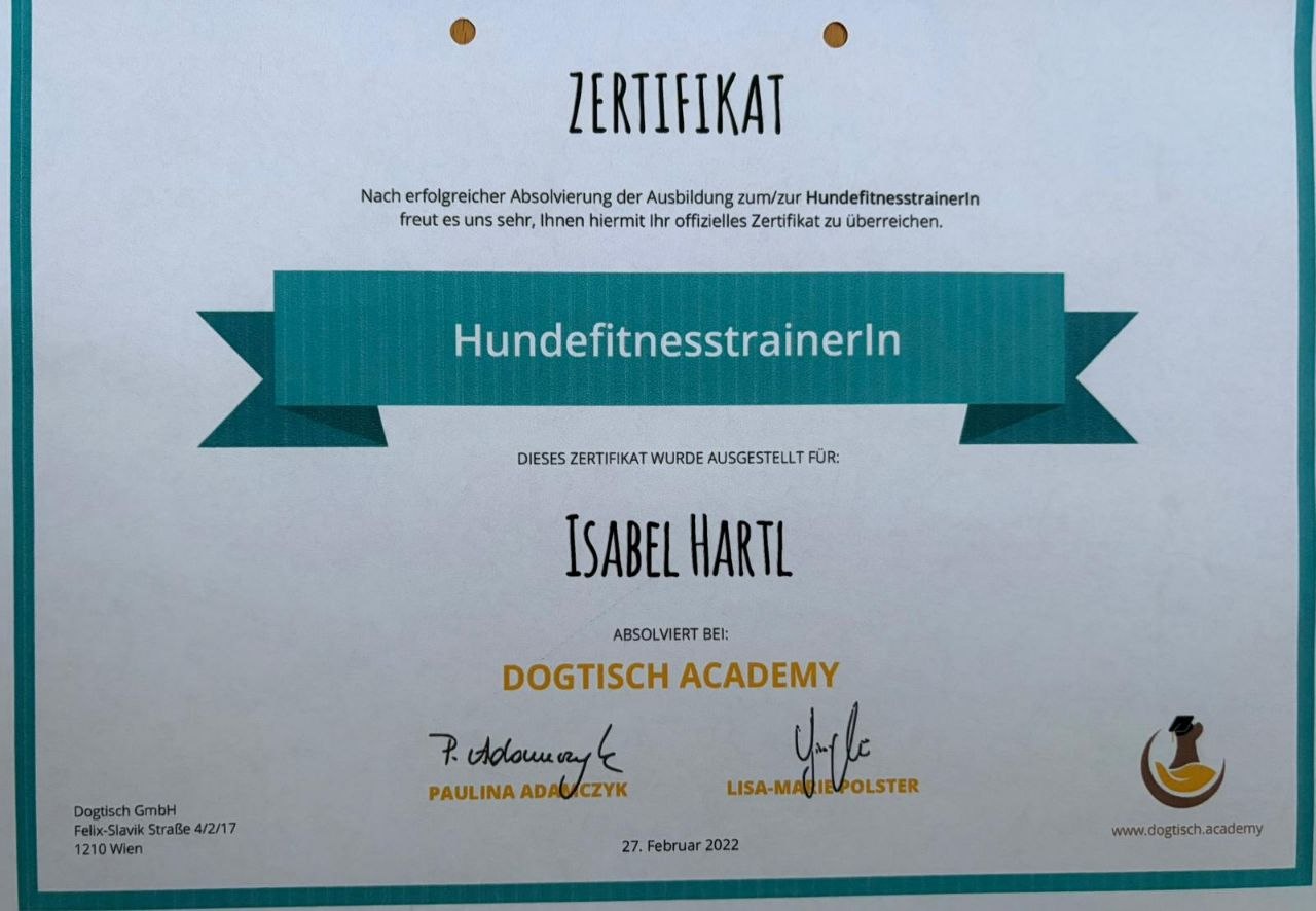 Zertifikate und Bescheinigungen für Hundetraining, Hundefürsorge, Hundesitting und Hundehaltung
